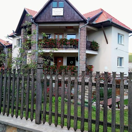 Pensiunea Bordas Panzio Sfântu-Gheorghe Exteriör bild
