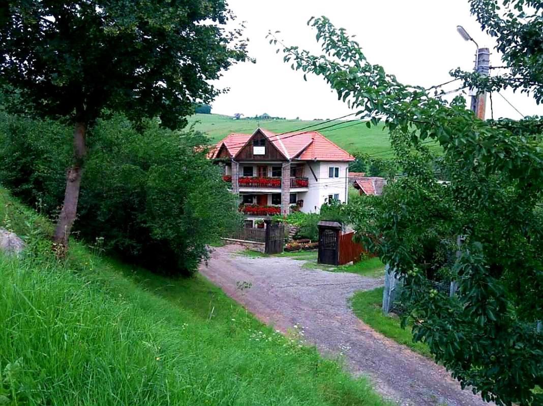 Pensiunea Bordas Panzio Sfântu-Gheorghe Exteriör bild