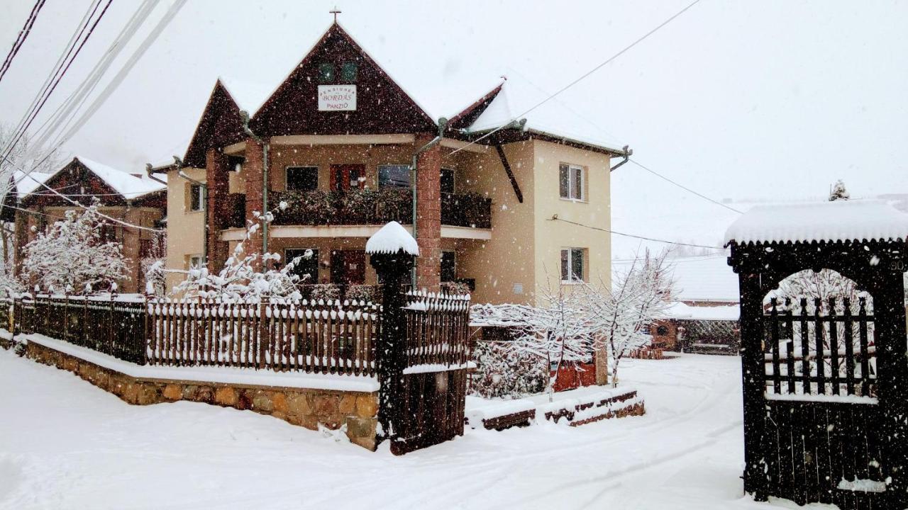 Pensiunea Bordas Panzio Sfântu-Gheorghe Exteriör bild