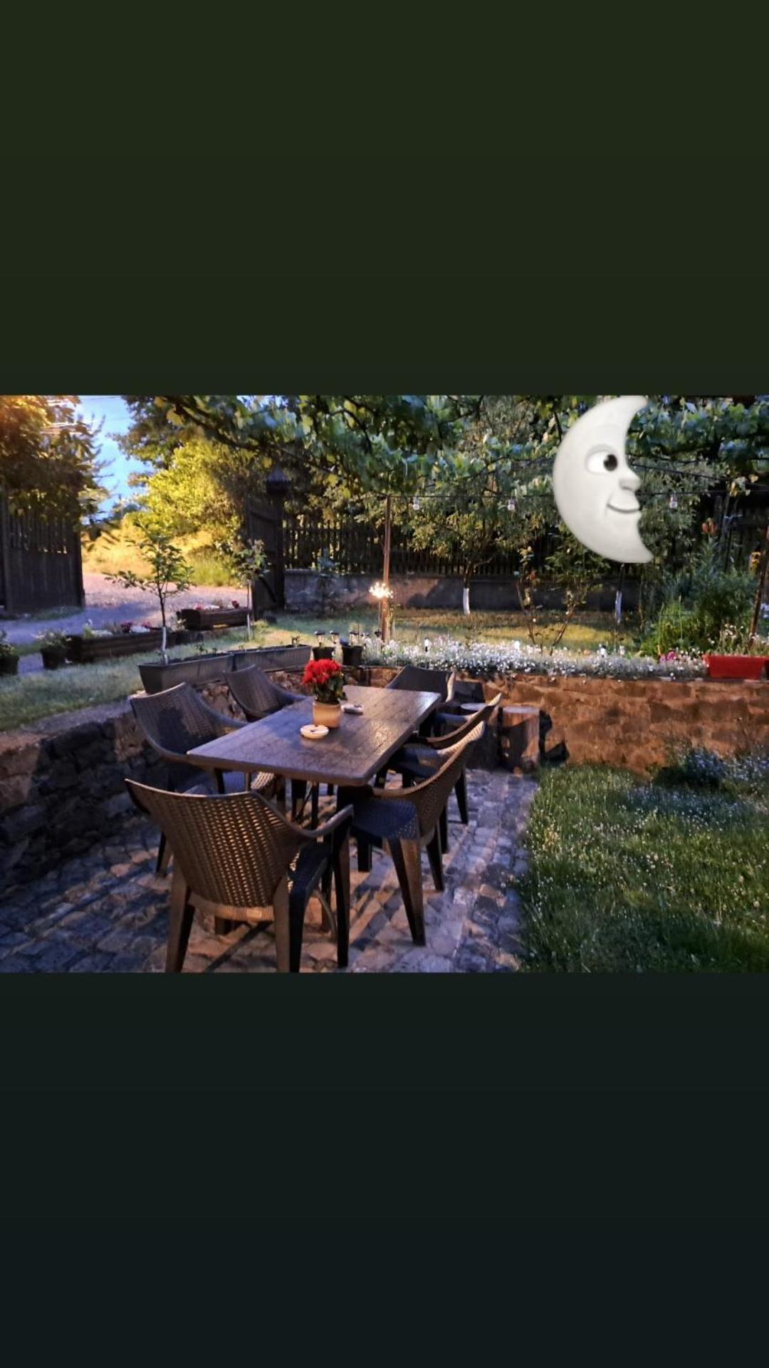 Pensiunea Bordas Panzio Sfântu-Gheorghe Exteriör bild