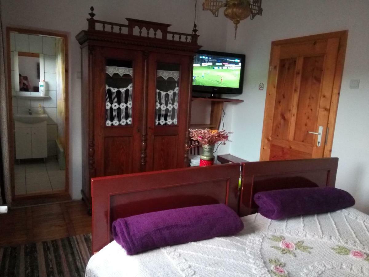 Pensiunea Bordas Panzio Sfântu-Gheorghe Exteriör bild