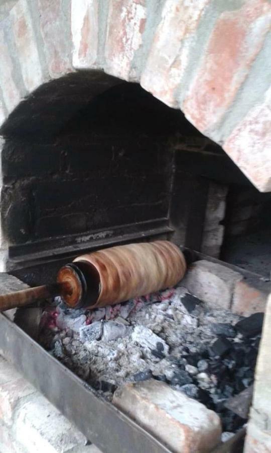 Pensiunea Bordas Panzio Sfântu-Gheorghe Exteriör bild