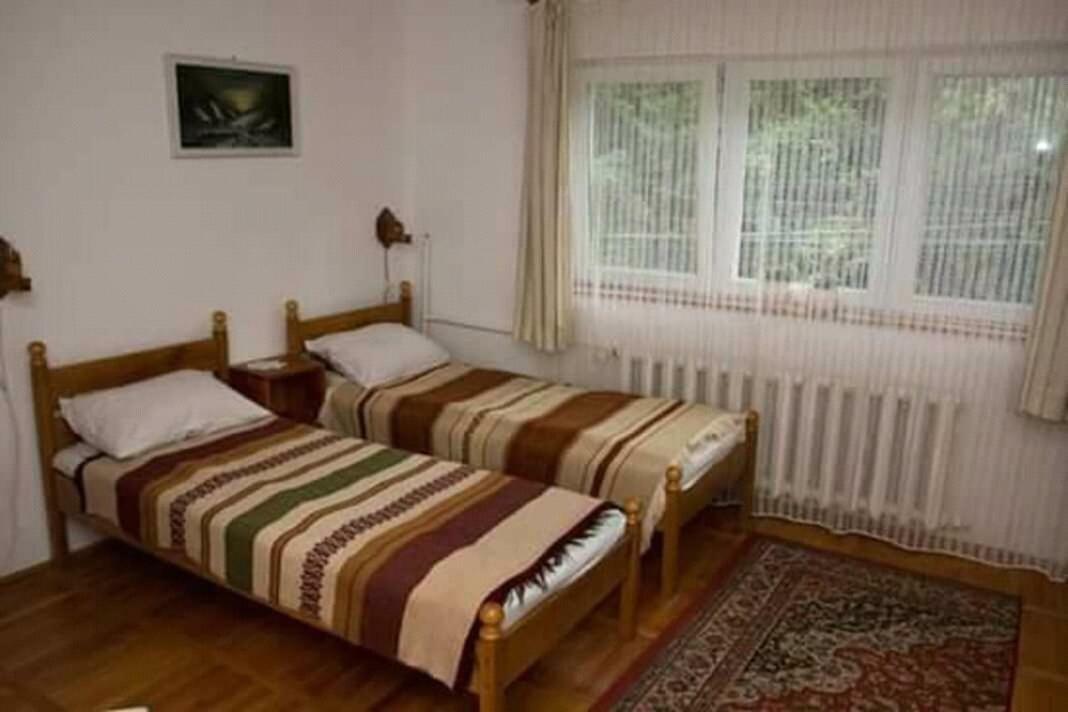 Pensiunea Bordas Panzio Sfântu-Gheorghe Exteriör bild