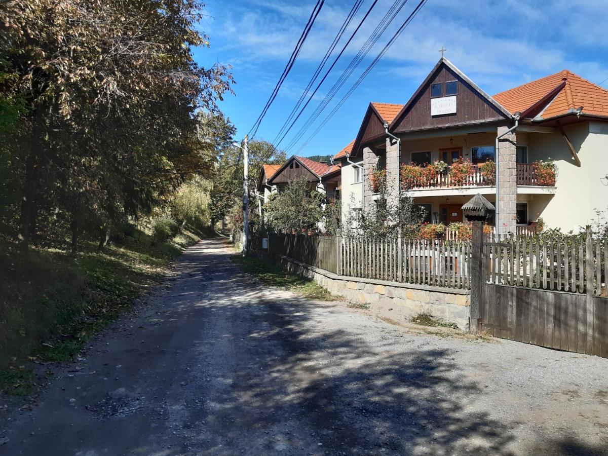 Pensiunea Bordas Panzio Sfântu-Gheorghe Exteriör bild